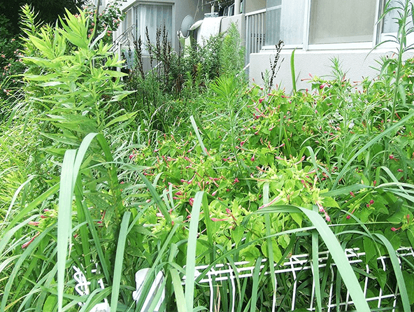 OK!グリーン – 庭のお手入れ、1本から任せて安心！