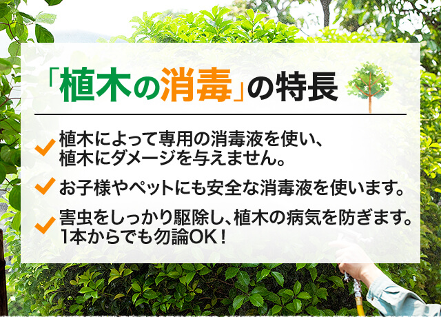 植木の消毒 Ok グリーン 庭のお手入れ 1本から任せて安心