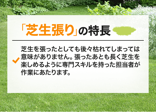 芝生張り Ok グリーン 庭のお手入れ 1本から任せて安心